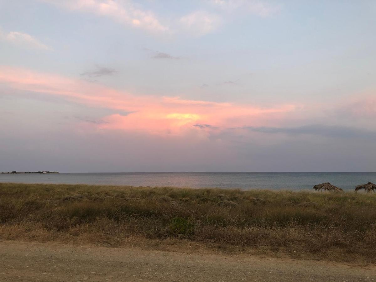Thealassa Kalliopi المظهر الخارجي الصورة